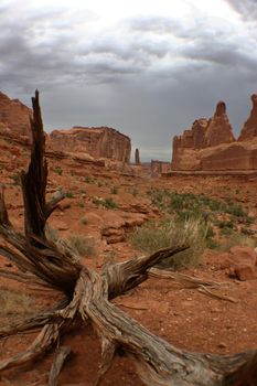 Image of Large dead desert tree log sits on desert dirt with large orange rocky outcroppings and an ominous cloudy sky