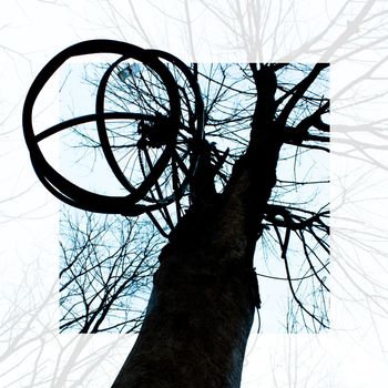 Image of Silhouette of a tree with a hanging cage trap against a blue sky with a translucent white frame