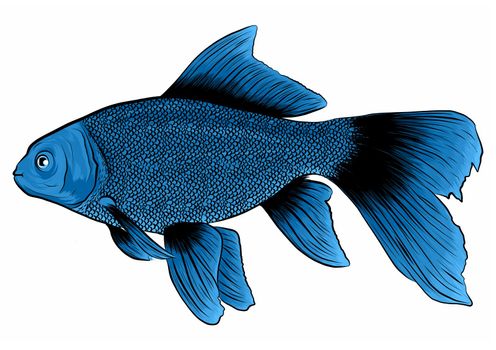 bluefish. illustration with refined details and optimized stroke that allows the image to be used in small sizes