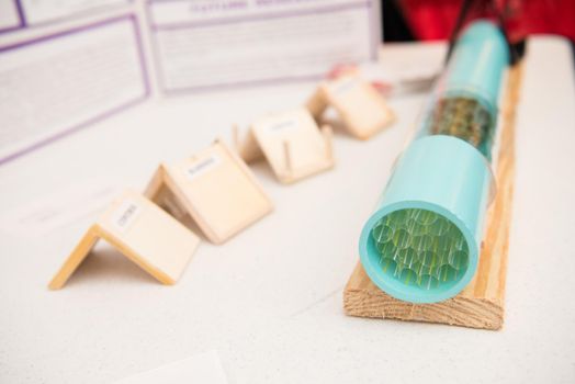 School exhibition of science project containing blue tube with green tubes inside