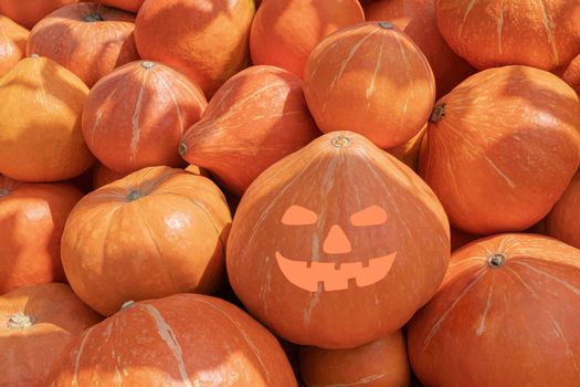 halloween pumpkin on a pile of pumpkins. High quality photo