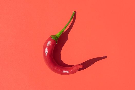 red hot pepper with a hard shadow on a red background. High quality photo