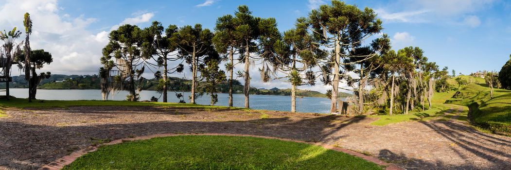 Many palm trees along a river in Guatape. Panoramic view