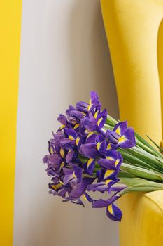 Iris bouquet on yellow chair on grey background . Holiday , mothers day, women's day background. Copy space side view