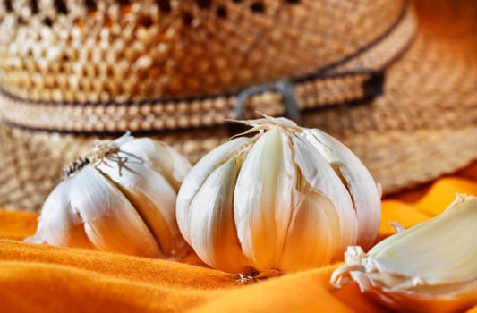 Beautiful white garlic bulbs on orange background , in the background straw hat