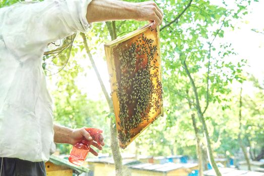 Low angle shot of a beekeeper spraying honeycomb working in his apiary.