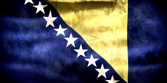 Bosnia and Herzegovina flag - realistic waving fabric flag