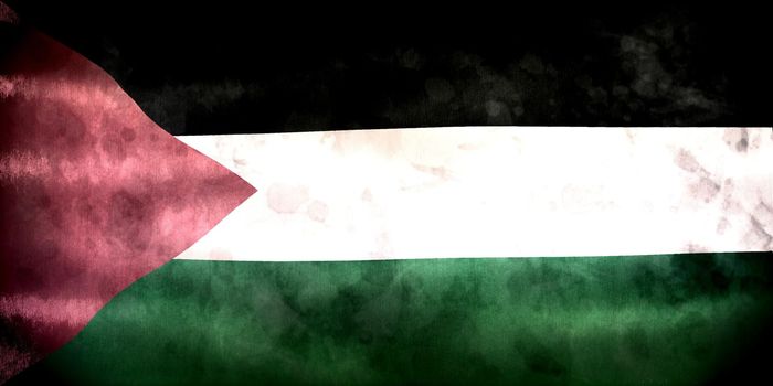 Palestine flag - realistic waving fabric flag