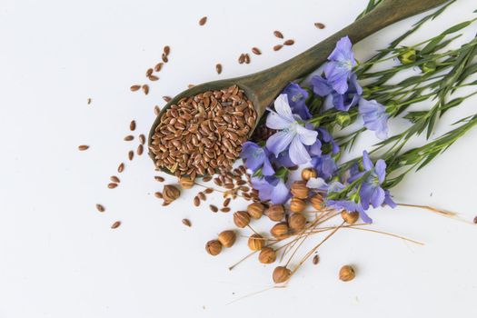 composition of flax flowers and suchara with seeds on white background