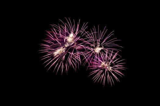 Many flashing colorful fireworks in event amazing with black background celebrate New Year, holiday and festival in night.