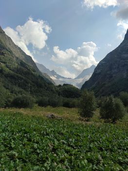 Summer mountains valley canyon wide summer panorama North Caucasus landscape, Dombai, Russia.