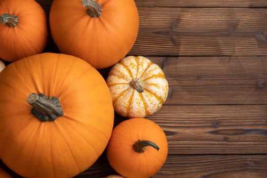 Many pumpkin top border over a rustic wood background