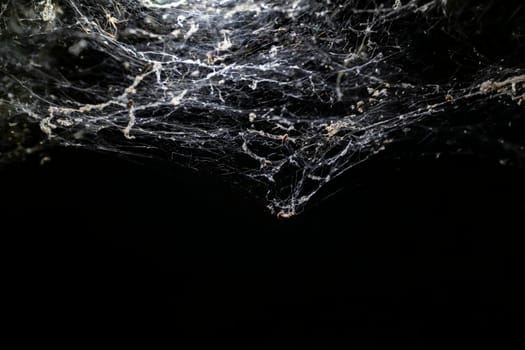 White web on black background. Concept of Halloween and trap. Copy space