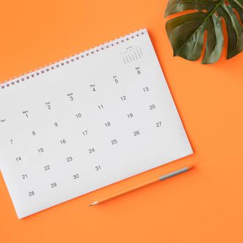 calendar with pencil monstera leaf. Resolution and high quality beautiful photo