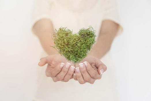 close up heart made greenary. Resolution and high quality beautiful photo