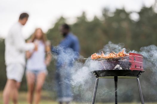 barbecue roasting food with friends conversing. Resolution and high quality beautiful photo