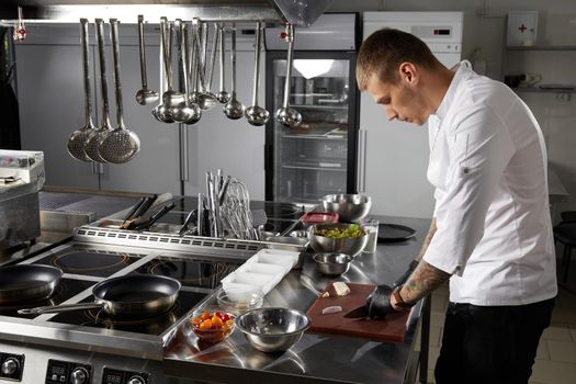 Professional chef cooking in the kitchen in hotel restaurant, preparing salad with shrimps