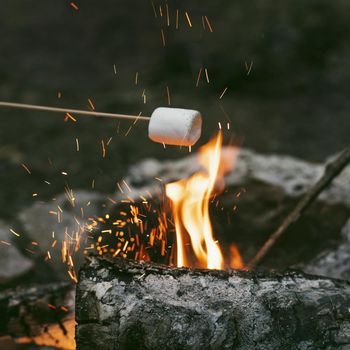 person burning marshmallows camp fire 2. Resolution and high quality beautiful photo