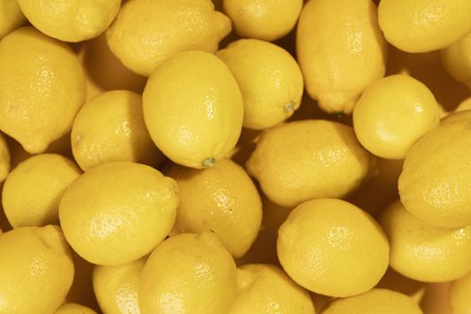 close up bunch raw lemons. Resolution and high quality beautiful photo