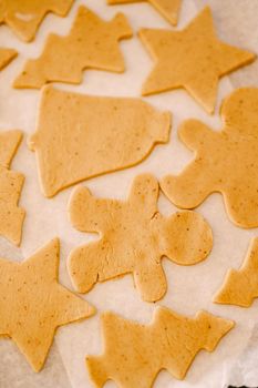 Process of making homemade cookies or gingerbread in different forms. Raw dough cookies lie on a baking sheet covered with parchment for baking before being sent to the oven. High quality photo