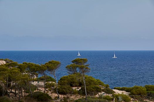 Two sailing ships in the mediterranean sea in blue sky. Calm sea, several pine trees, Balearic Islands. Spain