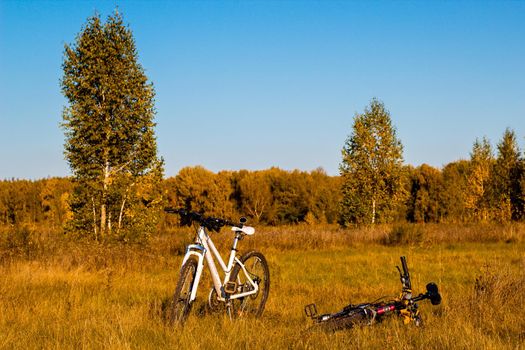 Cycling in a natural autumn landscape of fields. High quality photo