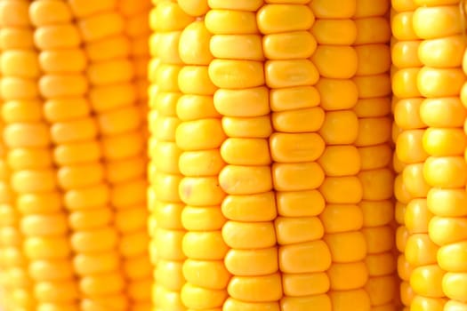 Sweet corns in a bowl on table