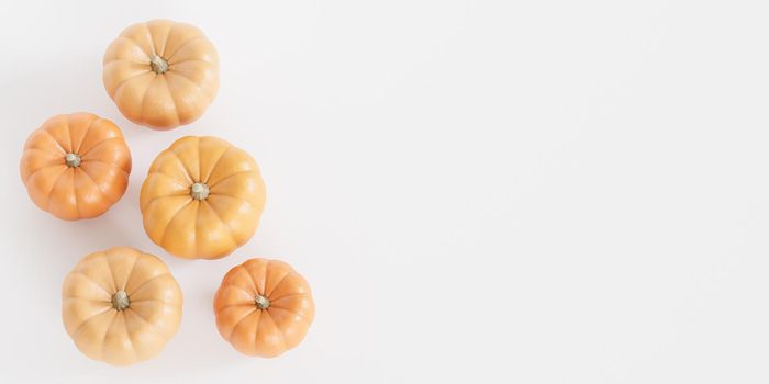 Pumpkins with copy space, white background for autumn holidays, 3d render