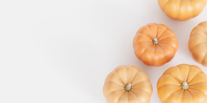 Pumpkins with copy space, white background for autumn holidays, 3d render