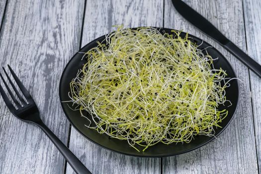 Leek seed sprouts in a black spoon on a grey rustic wooden table.