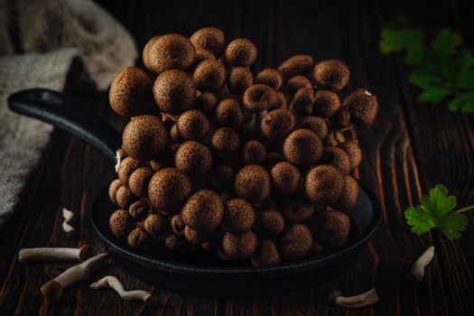 Fresh raw organic Brown Shimeji mushroom on wooden background.