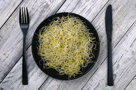 Leek seed sprouts in a black spoon on a grey rustic wooden table.