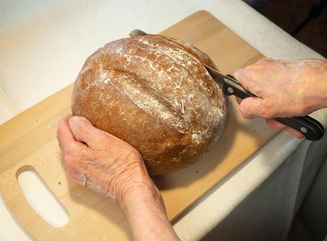 Elderly woman's hands cut round rye bread in flour on kitchen board