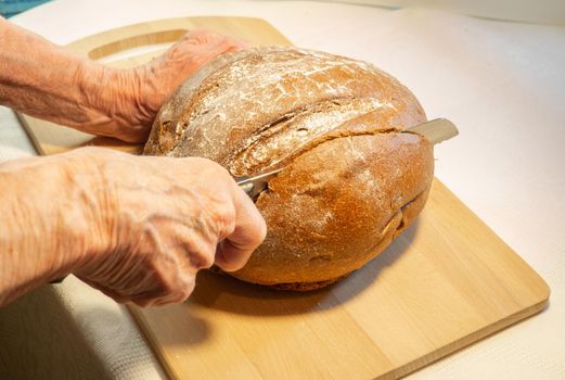 Elderly woman's hands cut round rye bread in flour on kitchen board
