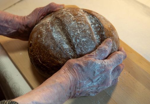 Black fresh round rye bread in the hands of an elderly woman
 on a kitchen board. Bread in flour. Furnace light

