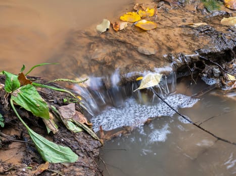 Stream in the autumn forest. Water movement