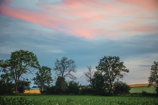 Summer landscape with field. Green fields and orange sky during the sunset, europe