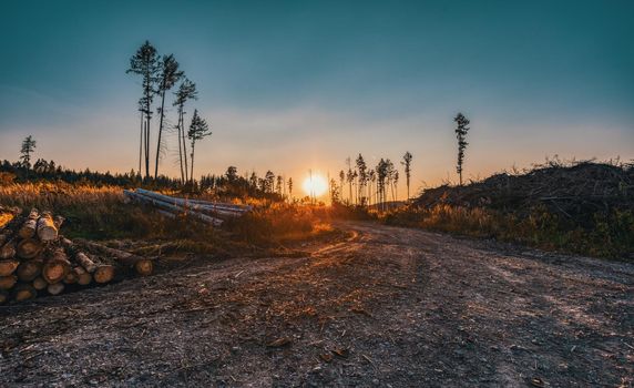 summer sunset in countryside, deforested landscape after beetle attack, Vysocina, Czech Republic