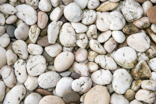 White pebble stone background. Texture and material theme.