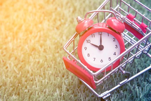 Red clock on the shopping cart, lack of time, waste of time, purchasing time, Shopping concept, Business concept