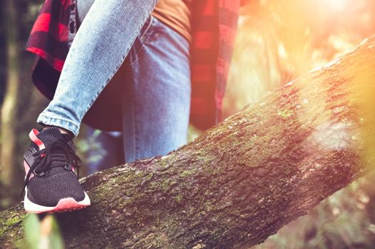 Closeup of female traveler legs and team group crossing log in forest for hiking to mountain top with trekking stick. Woman leaping tree trunk in jungle. Adventure and people activity in wild life