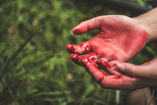 Close up of bloody hands in dark forest background. Horror and ghost concept. Criminal and murder concept. Halloween day and sacrifice theme. People and religion theme. Open the palm of the hands.