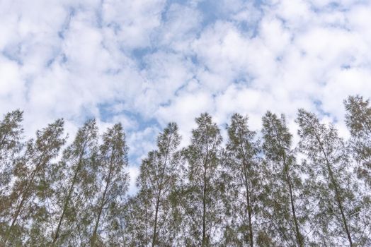Blue sky background with clouds. Nature and Background concept. Space and air theme.