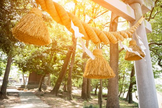 Japanese big rope in new year day named "Shime-Nawa", Festival in Japan concept