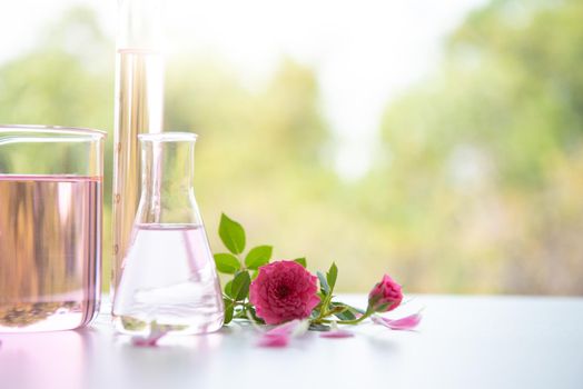 Rose spa treatments on white wooden table. Healthcare and body therapy massage relaxation concept. Beauty and Healthy theme. Pure natural extract and Medical theme.
