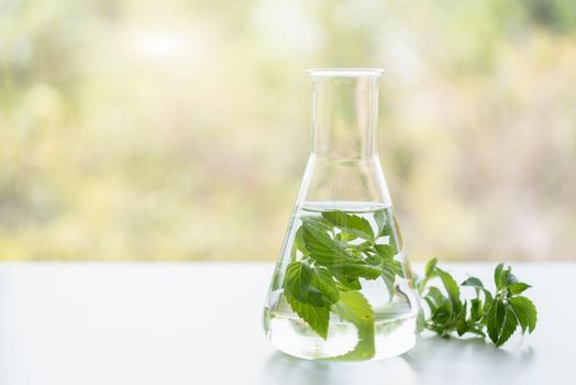 Peppermint spa treatments on white wooden table. Healthcare and body therapy massage relaxation concept. Beauty and Healthy theme. Pure natural extract and Medical theme.