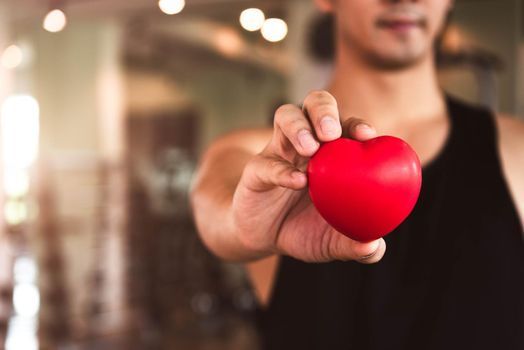 Happy sport man holding red heart in fitness gym club. Medical cardio heart strength training lifestyle. Handsome sport male workout exercise. Cardiac healthy and well-being. Massage ball in hand