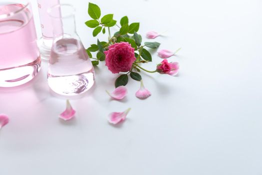 Rose spa treatments on white wooden table. Healthcare and body therapy massage relaxation concept. Beauty and Healthy theme. Pure natural extract and Medical theme.