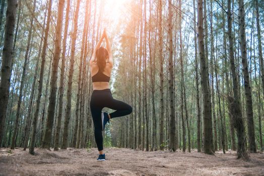 Beautiful Asian young woman standing and doing yoga in forest. Exercise and meditation concept. Pay obeisance or raise hand concept. Pine wood in summer theme. Back view