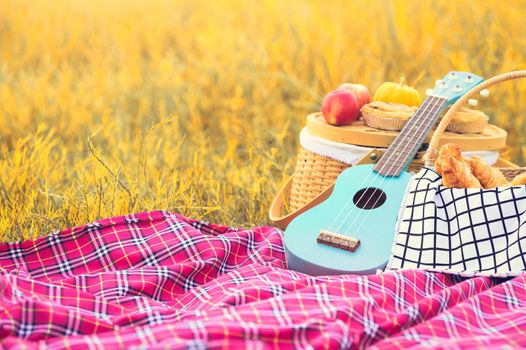 Picnic props in the autumn meadow field. Ukulele guitar, picnic basket, bread and fruits on picnic mat on grass. Object and Travel relaxation concept. Copy space